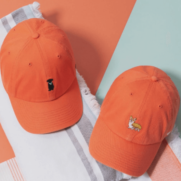 black lab and corgi baseball hats