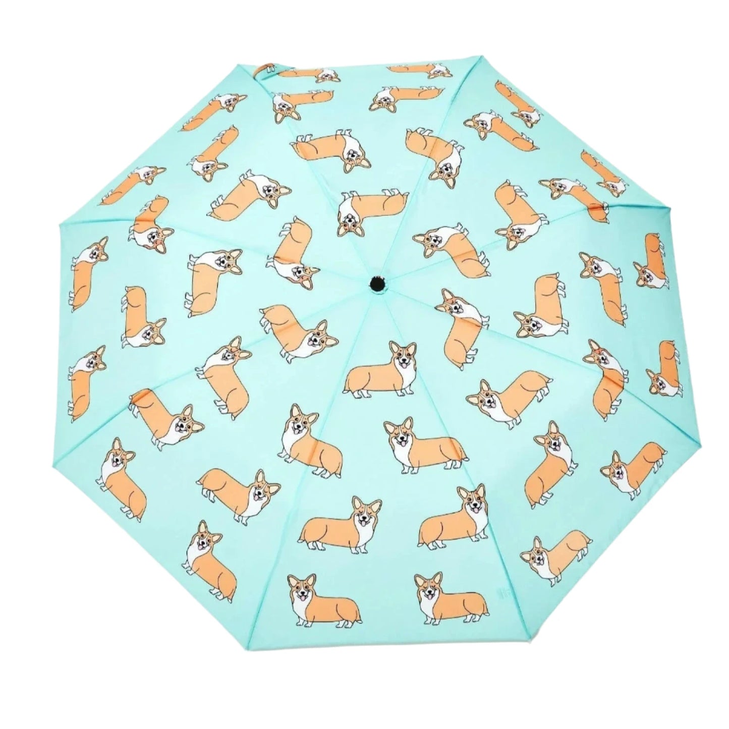 open umbrella with corgi print