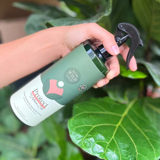 Indoor Plant Protection Spray