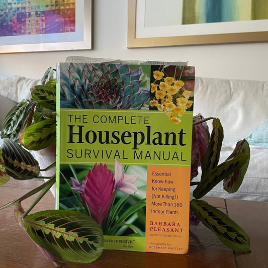 Garden book displayed against prayer plant