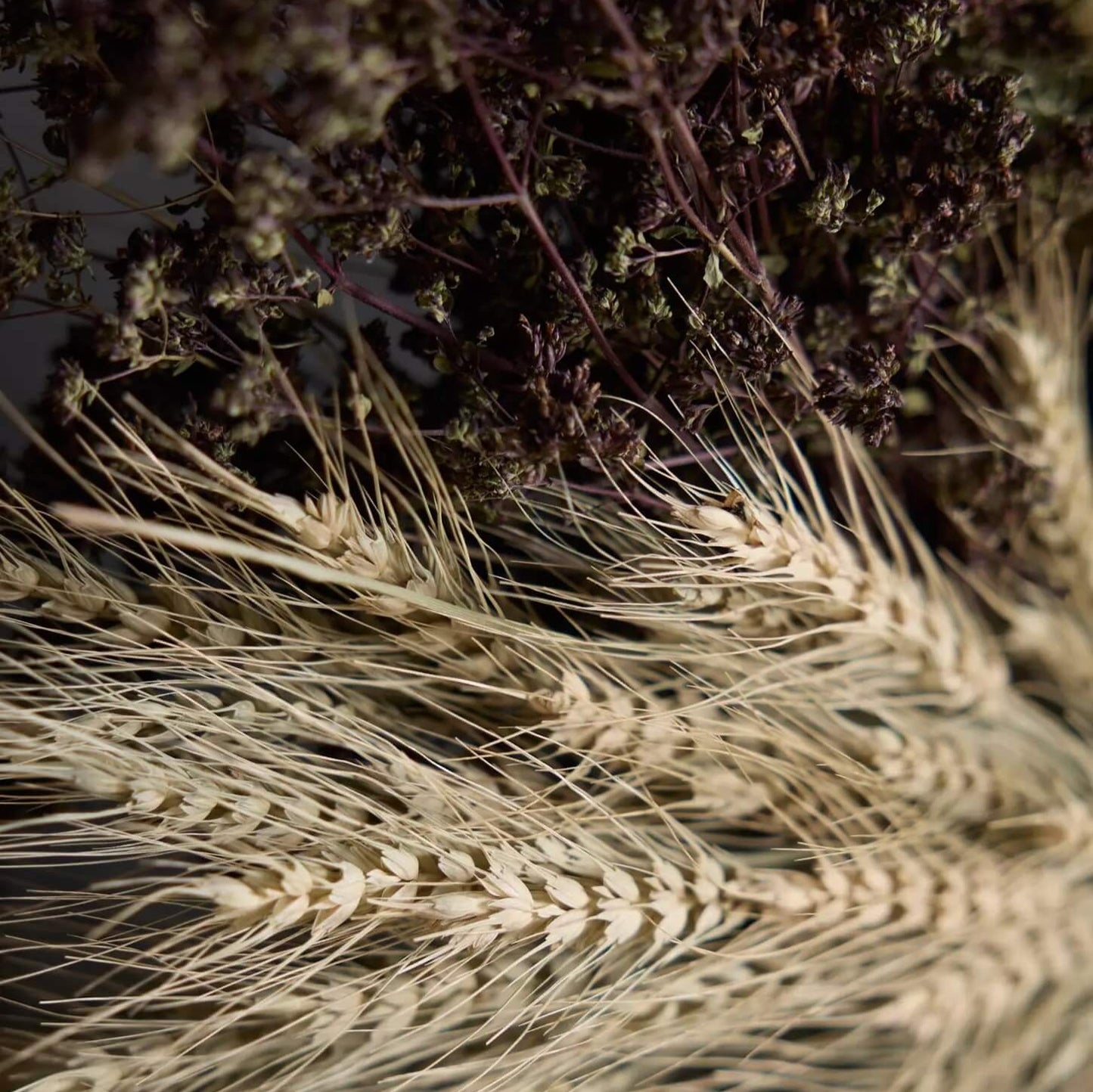 close up of hay