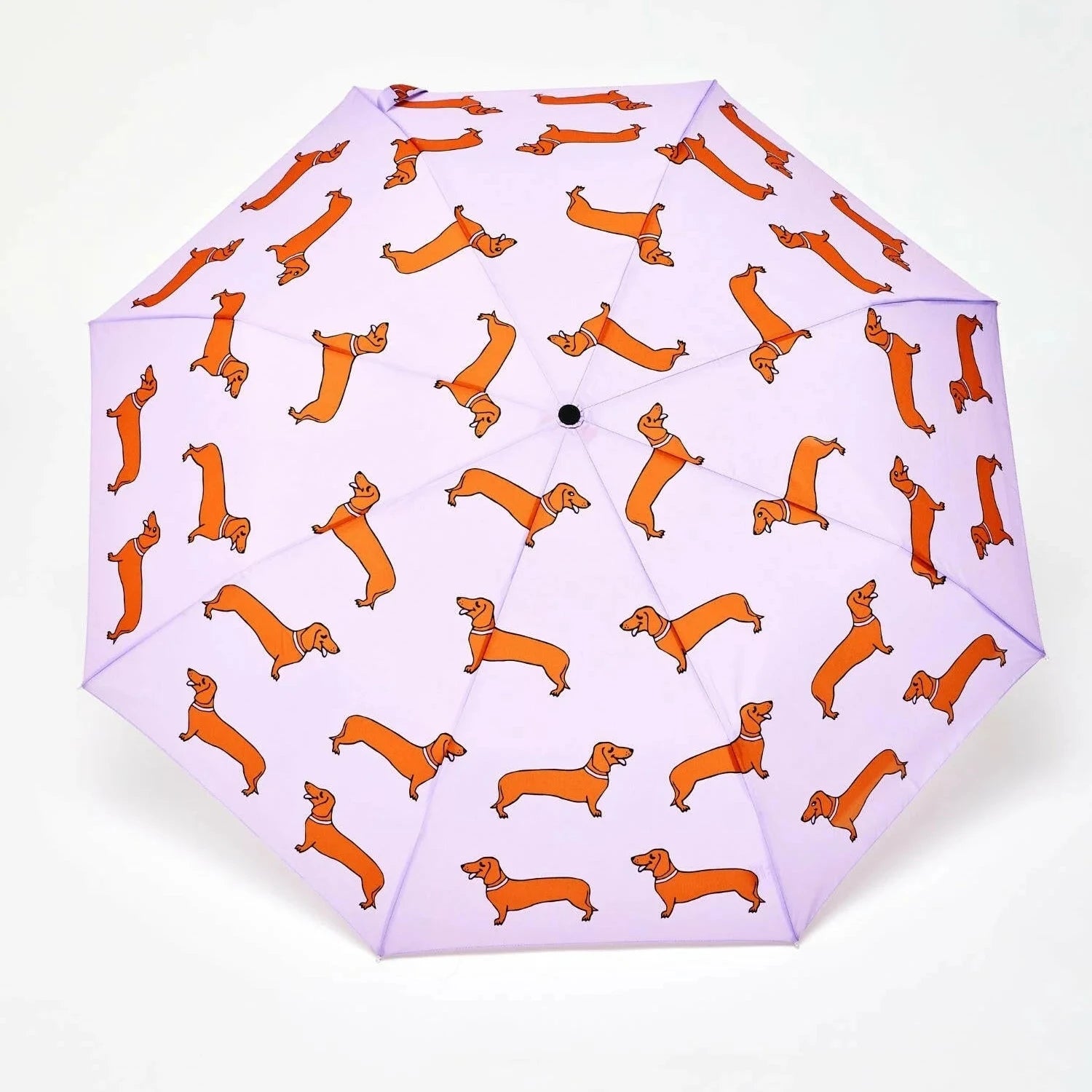 purple and gift ideas dachshund umbrella open canopy