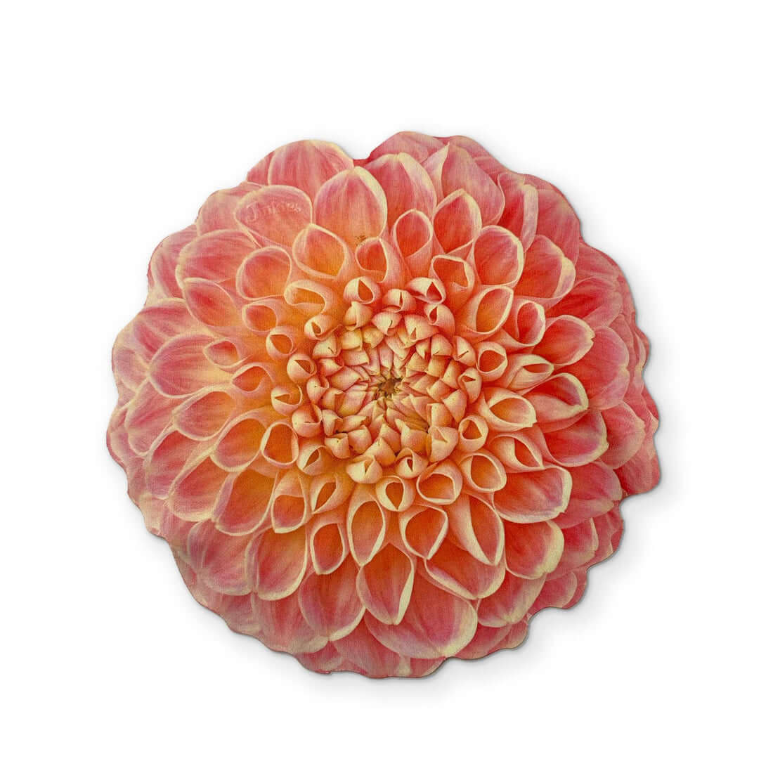 pink dahlia flower microfiber cloth