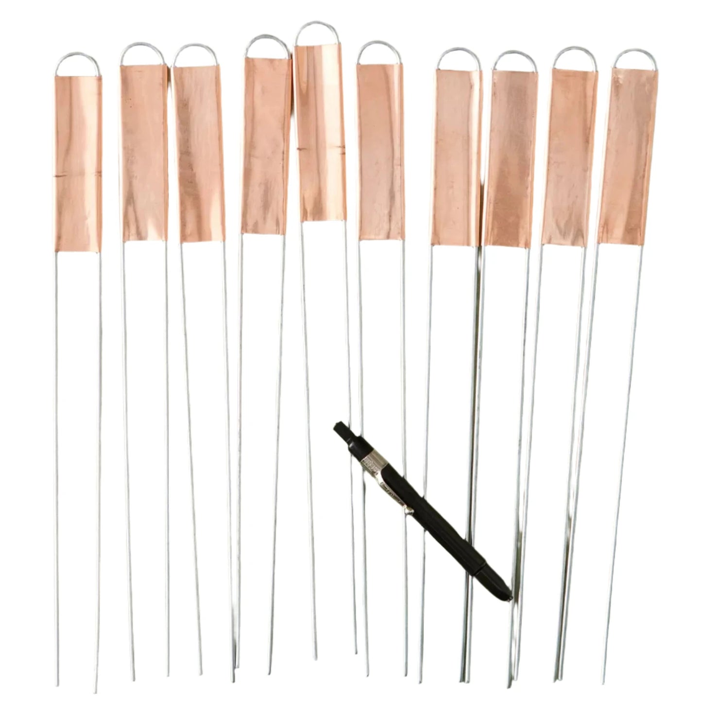 10 copper plant markers with black pen