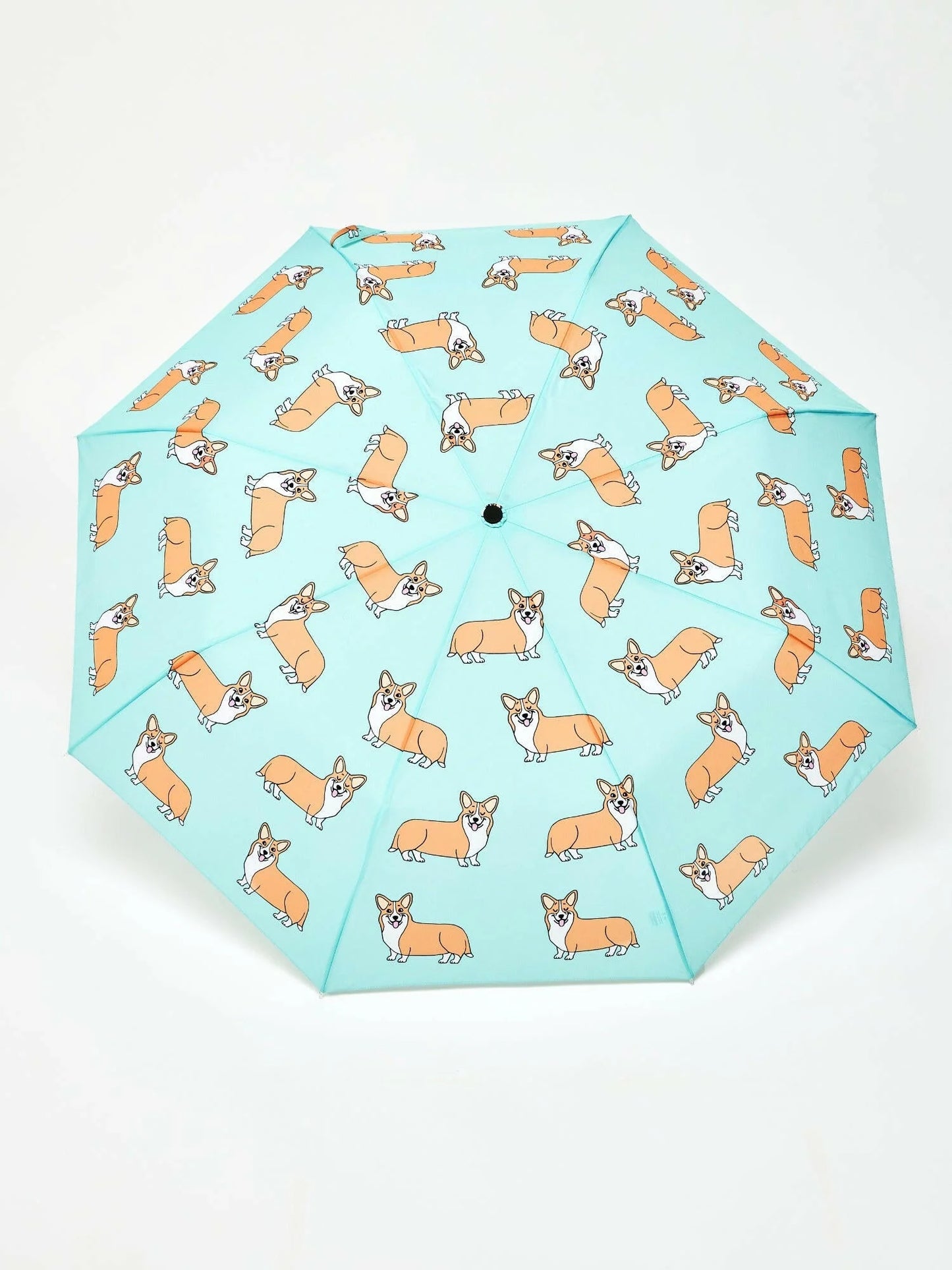 Dog Umbrellas