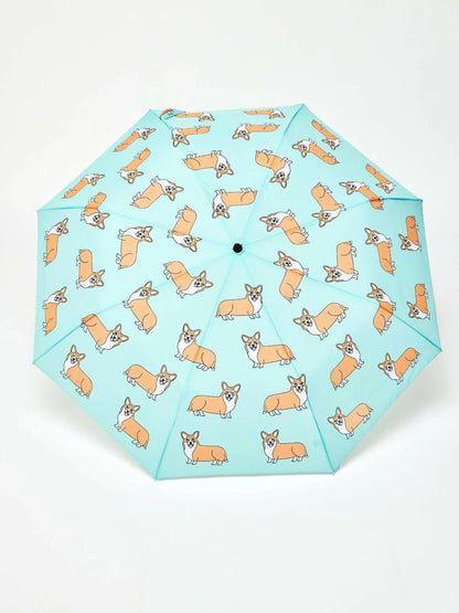 Dog Umbrellas