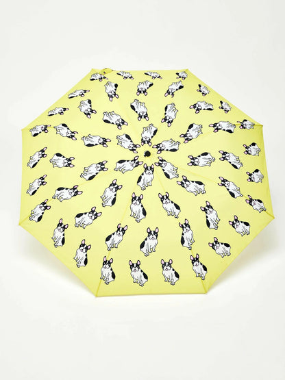 Dog Umbrellas